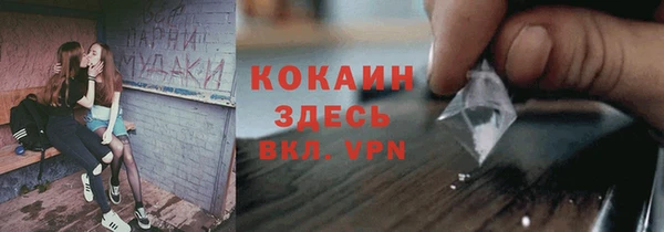 гашик Покровск