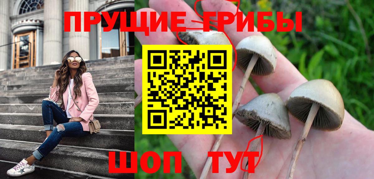Галлюциногенные грибы мухоморы Борзя
