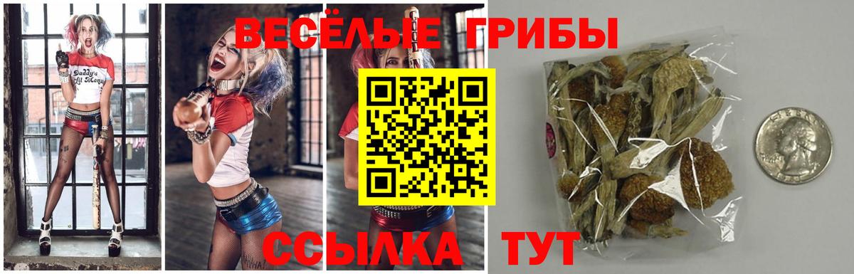 Псилоцибиновые грибы мицелий Борзя