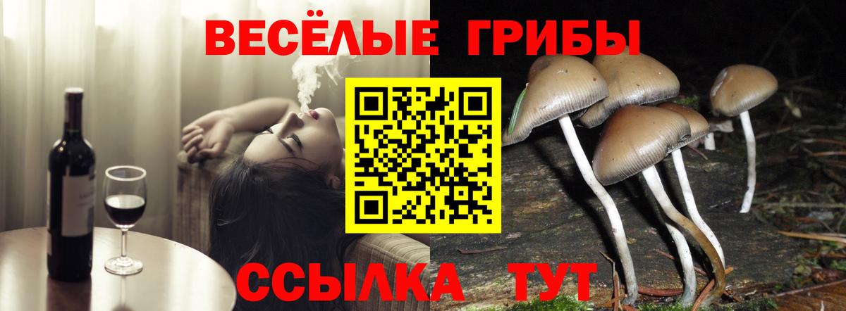 Псилоцибиновые грибы MAGIC MUSHROOMS  Вход с VPN  Борзя 