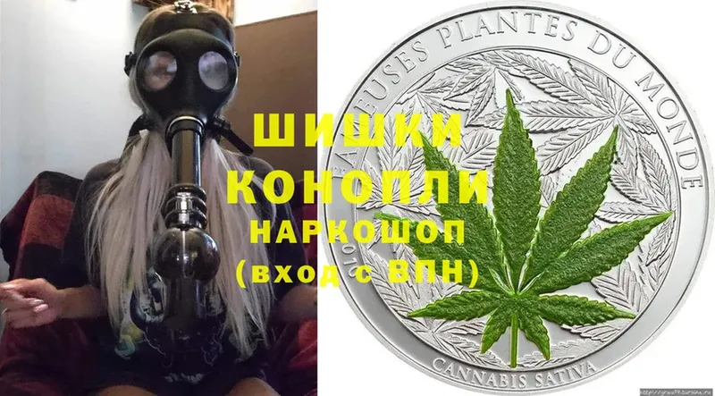 где можно купить   Борзя  Каннабис OG Kush 